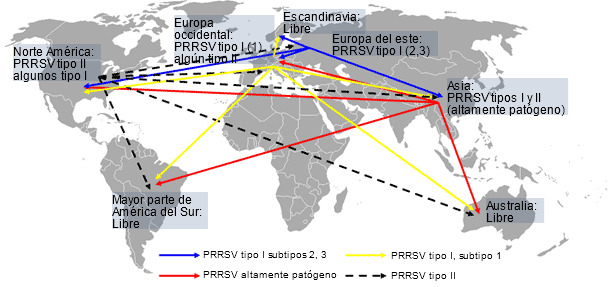 Distribución mundial del PRRSV y transmisión intercontinental hipotética