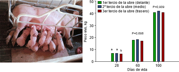 Evolución del PV 