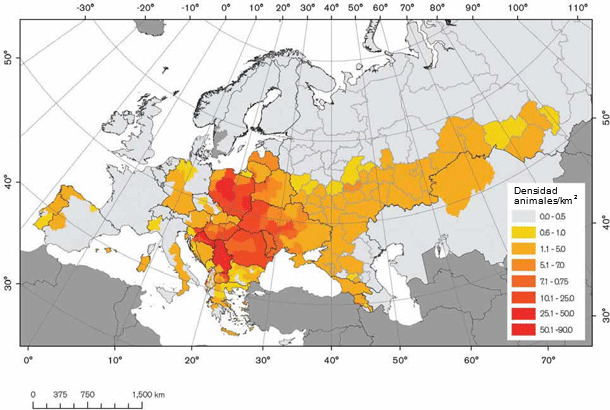 Densidad de cerdos domésticos en condiciones de baja bioseguridad en Europa