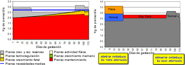 Ejemplo de una simulación (OptifeedModel)