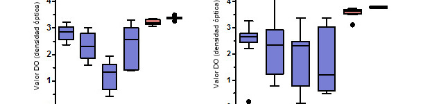 Niveles de anticuerpos IgG específicos para PCV2 medidos mediante ELISA en suero y calostro de cerdas