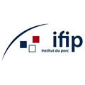 IFIP