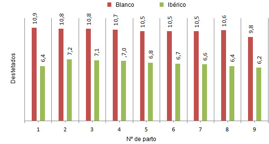 Destetados/cerda según nº de parto