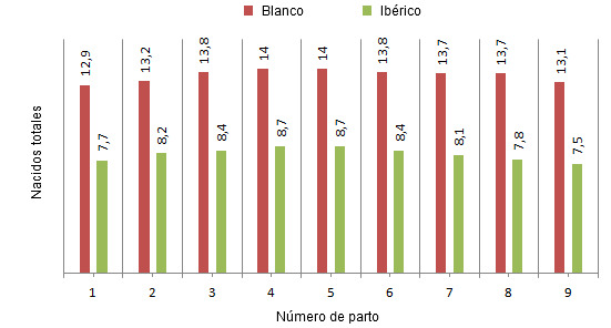 Prolificidad según nº de parto