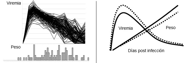 Viremia de PRRSV (figura superior) y distribución de la GMD (inferior) en 200 cerdos infectados experimentalmente con PRRSV.