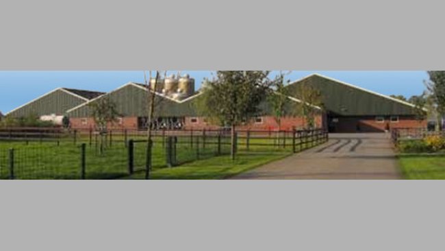 Granja holandesa