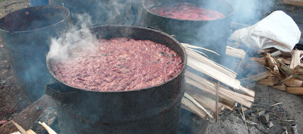 Cocinado de desperdicios antes de alimentar a los cerdos en una granja semi-comercial en Kiambu, Kenia