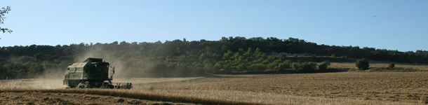 cosecha de cereales