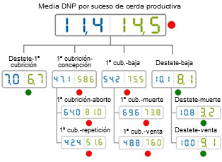 comparativa del año 2012 de los DNP por suceso de cerda.Media de base de datos (azul) vs media de la explotación  analizada (verde)
