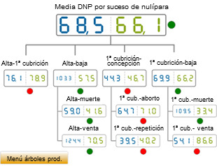 comparativa del año 2012 de los DNP por suceso de nulípara. Media de base de datos (azul) vs media de la explotación analizada (verde)