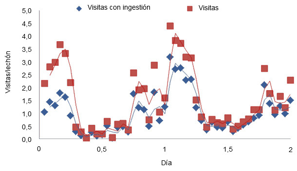 Visitas al comedero y visitas en las que desaparece pienso en los primeros dos días tras el destete de lechones que han tenido acceso a creep feed durante la lactación.