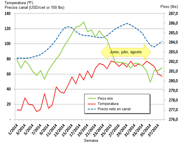 Actualización de los valores semanales de peso vivo medio, precio canal y temperatura en EEUU.