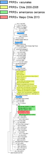 Dendograma del virus PRRS en Chile en 2013