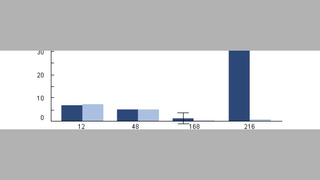 Supervivencia intracelular de H parasuis en los macrófagos alveolares porcinos recogidos de cerdos previamente infectados con PRRSv