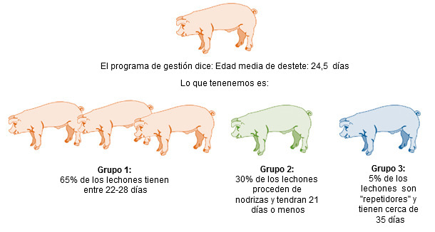 En muchas granjas las adopciones acaban siendo así