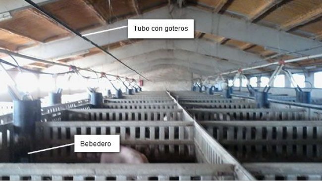 Granja