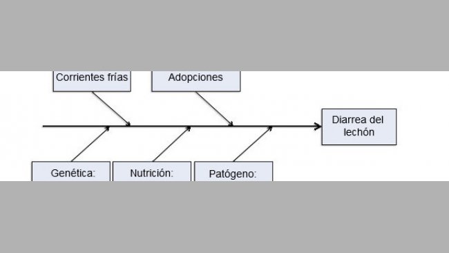 Modelo de cinco factores productivos como causantes de enfermedad.