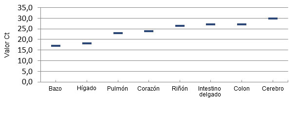 Distribución del virus por PCR cuantitativa en tejidos de lechones afectados por ETNL