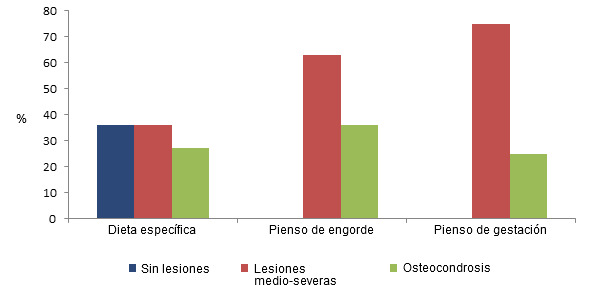 El consumo de una dieta específica para cerdas de reposición comportó una reducción en la prevalencia de las lesiones