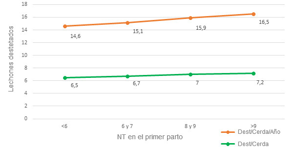 Valores la Tasa de Partos (TP) y los Días No Productivos (DNP) en función de los NT en el primer parto