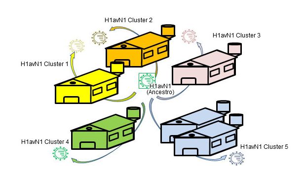 Heterogenicidad gen&eacute;tica y antig&eacute;nica relacionada con la granja