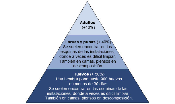 Potencial reproductivo de la mosca doméstica 