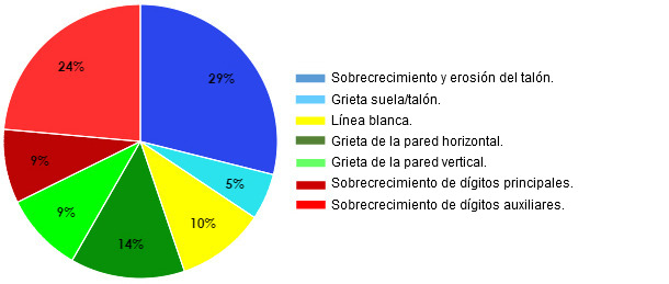 Porcentajes por tipo de lesión