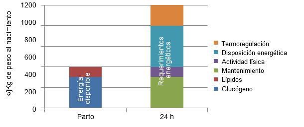 Disponibilidad de energía al nacimiento y requerimientos energéticos a las 24h de vida de un lechón