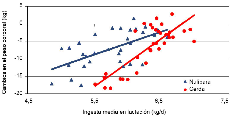 Cambios del peso corporal de las cerdas adultas y primerizas según la ingestia media durante la lactación