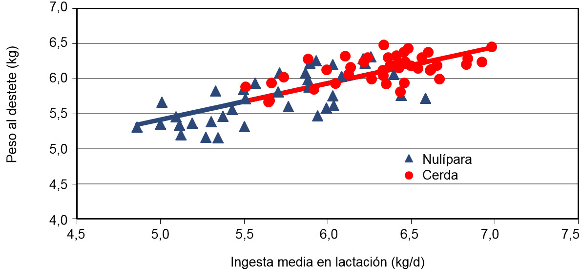 Peso de la camada al destete según el consumo medio de la cerda en lacatación 