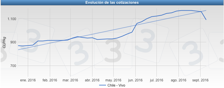 Precio del cerdo en Chile - Vivo