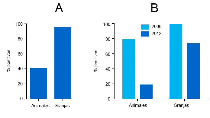 Anticuerpos frente a PCV2 en suero de cerdos de engorde en 2006 y en 2012