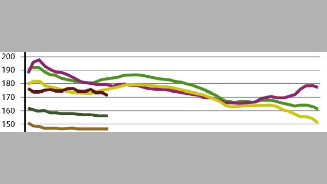 Comparativa Jul-Jun por semana de la evolución de los precios de cereales en España para las dos últimas campañas