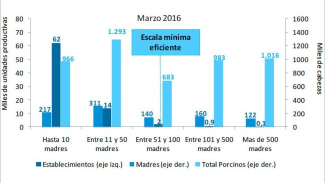 Gráfico 3. Estratificación de establecimientos con existencias porcinas según censo de madres a marzo de 2016. Fuente: Informe de Cadena de Valor. Ministerio de Hacienda y Finanzas Públicas. Argentina