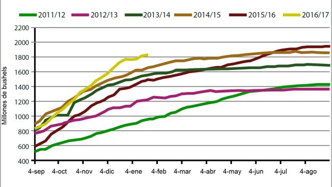Gráfica 1. Volumen semanal de exportaciones de haba de soja USA, campaña actual y cinco anteriores. Fuente: USDA.