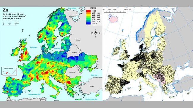 Izquierda: Zinc en suelos agr&iacute;colas de la UE (Gemas 2014): Niveles de zinc en la superf&iacute;cie del suelo (20 cm superiores) en tierra agr&iacute;cola en Europa (tomado de Reimann et al., 2014). Derecha: Granjas porcinas en la UE (Eurostat, 2014).
