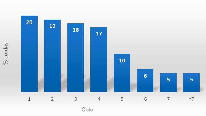 Figura 2. Estructura censal B