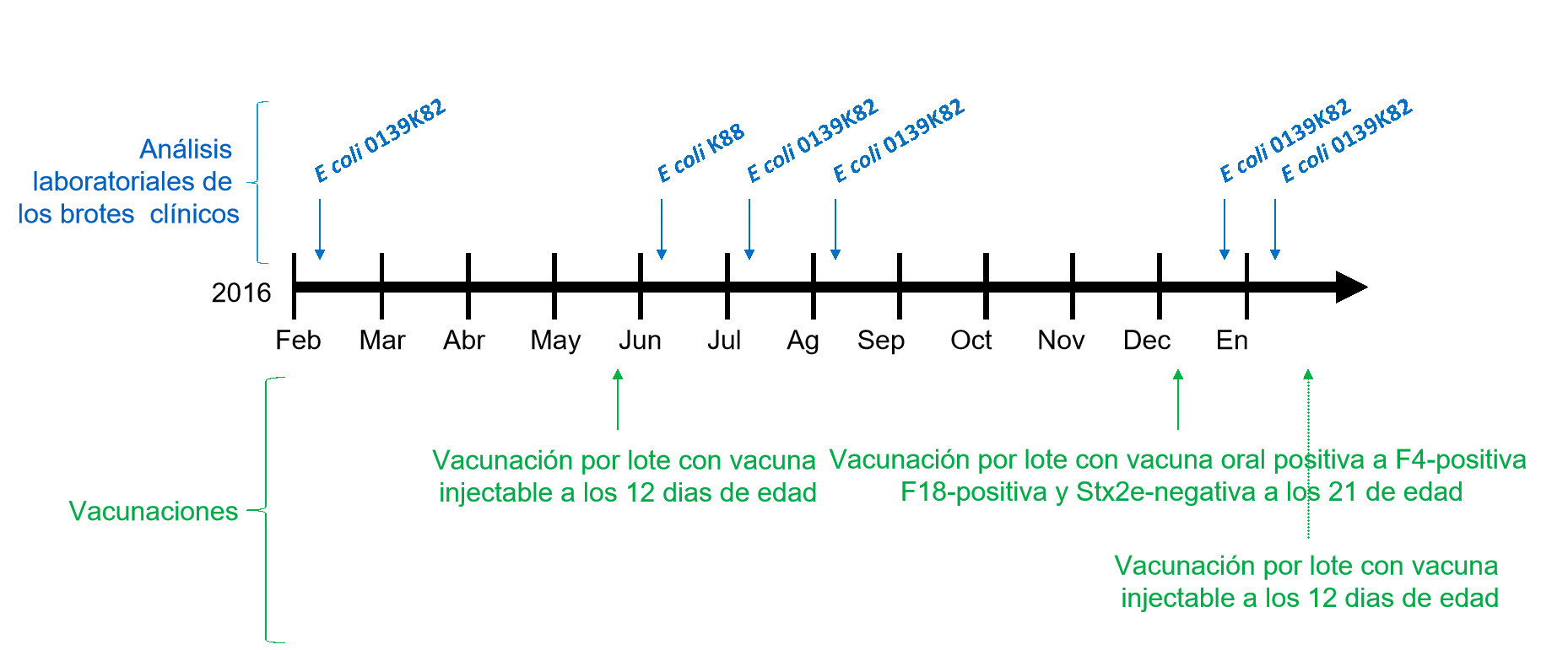<p>Imagen 1: An&aacute;lisis de laboratorio de los brotes cl&iacute;nicos y calendario de vacunaciones</p>
