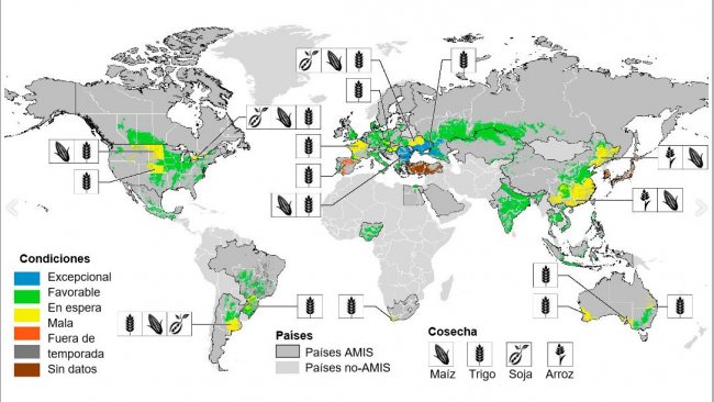 Imagen 1. Mapa de las condiciones de los cultivos en el mundo. Actualizado hasta julio de 2017. Fuente GEOGLAM.