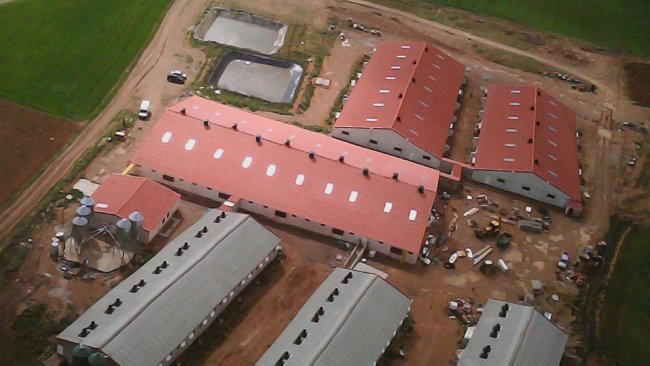 Las granjas grandes, climatizadas y bien estructuradas permiten trabajar con niveles más altos de bienestar animal y posibilitan a los ganaderos disfrutar de turnos de trabajo y vacaciones a las que antes estaban vedados, pero determinados sectores sociales las ven de manera muy negativa.