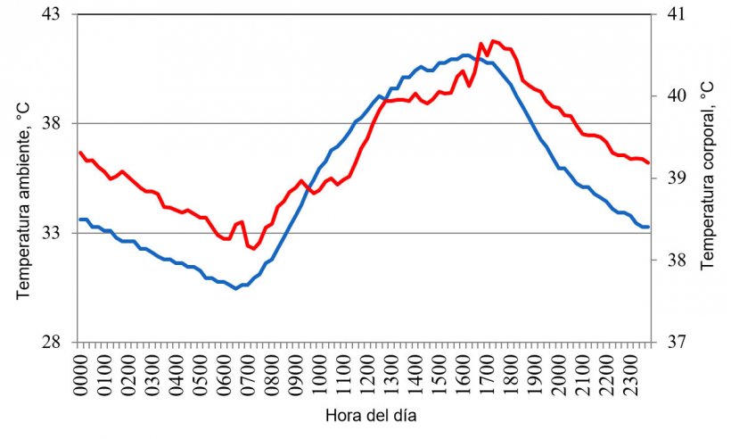 Figura 1. Variaciones en la temperatura corporal (rojo) de cerdos alojados en condiciones de estr&eacute;s por calor, en respuesta a cambios en la temperatura ambiente (azul) durante un d&iacute;a t&iacute;pico del verano del a&ntilde;o 2015 en el valle de Mexicali (Cervantes et al., 2017).
