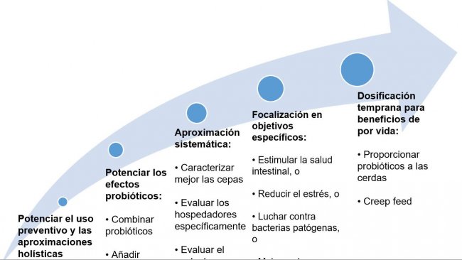 Figura 2. Estrategias para mejorar el uso de probi&oacute;ticos en etapas tempranas.
