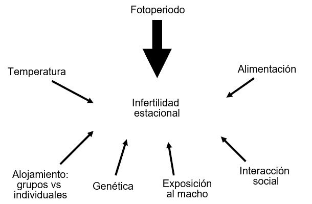 Figura7. Factores influyentes en la aparici&oacute;n de infertilidad estacional.
