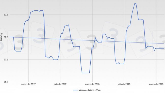 Gr&aacute;fica 1. Evoluci&oacute;n de las cotizaciones en la bolsa de Jalisco durante los dos &uacute;ltimos a&ntilde;os.
