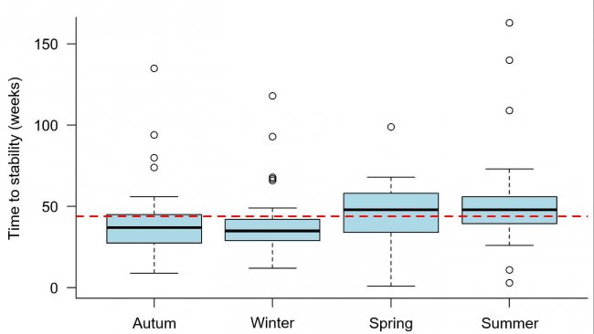 Figura 1: Tiempo hasta estabilidad frente a PRRS observado seg&uacute;n la temporada en que se produjo el brote. La l&iacute;nea discontinua representa el valor medio general (43,9 semanas). Cada cuadro representa el 50% de los datos (percentiles 25-75) y la l&iacute;nea negra dentro del cuadro representa la mediana (percentil 50), por lo que la mitad de los brotes tuvo un TTS por encima de esta l&iacute;nea y la otra mitad por debajo de esta l&iacute;nea para cada temporada.
