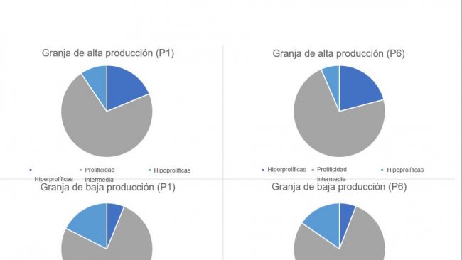 Gráfico 1. Distribución del tipo de cerdas, en parto 1 y 6, categorizados por los tipos de granjas planteados.