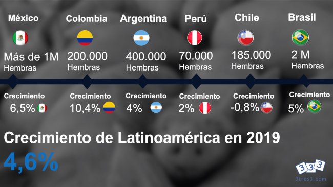 Inventarios de hembras y crecimiento interanual de producción de carne de cerdo hasta noviembre de 2019 en los principales países productores.
Fuente: Confederación de Porcicultores Mexicanos, PorkColombia, ODEPA Chile, Minagri Perú, Minagri Argentina y Centro de Inteligencia de Aves y Suinos Brasil.