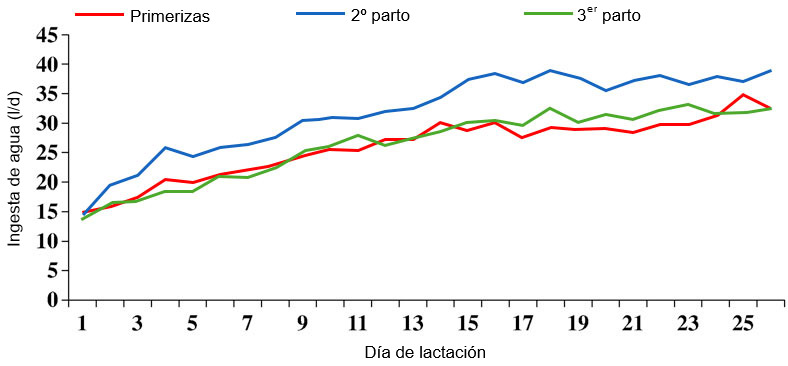 Ilustración 2 Evolución del consumo de agua durante la lactación dependiendo del número de parto. Fente: S. Kruse, 2011.
