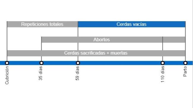 Tipos de pérdidas de gestación que repercuten en una menor tasa de partos, con el detalle de los distintos tipos de repeticiones según en el momento en que se producen.