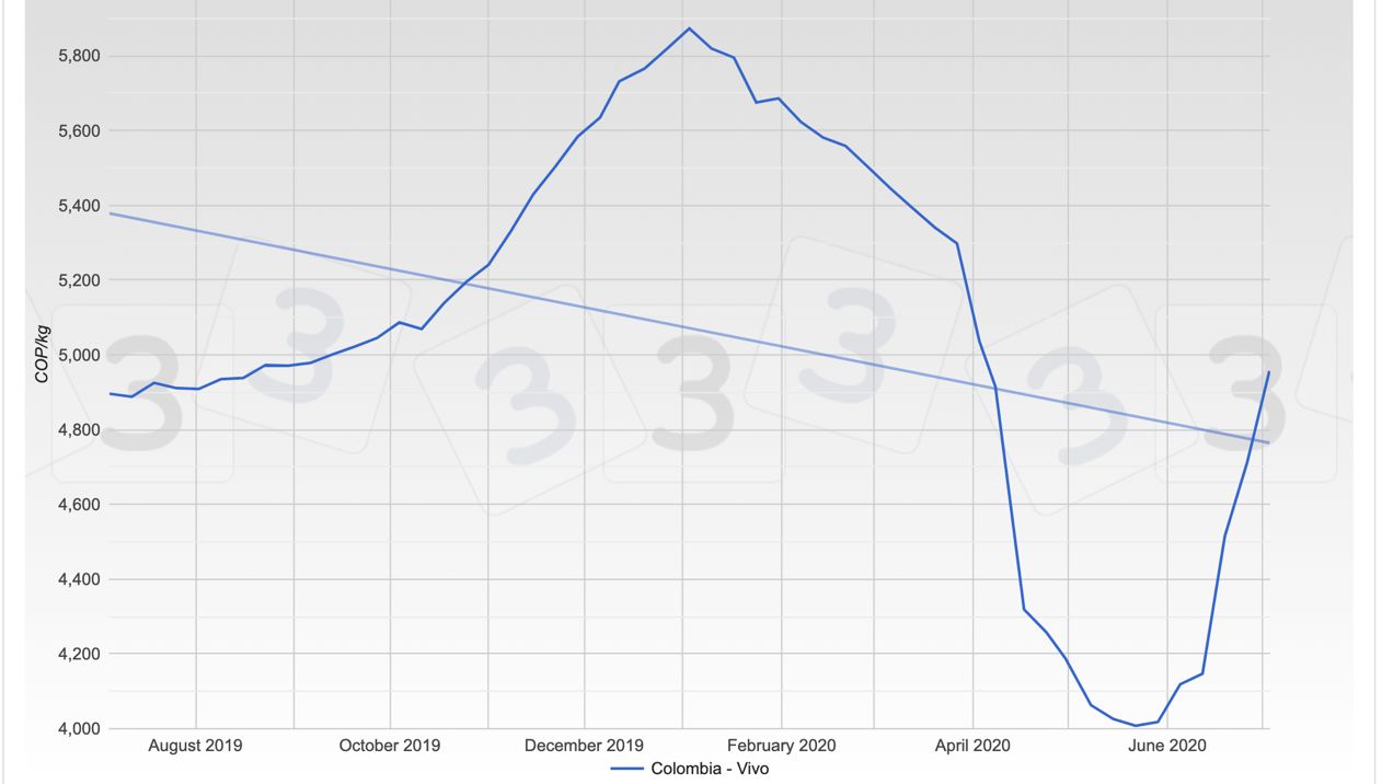 Gr&aacute;fica 1. Evoluci&oacute;n del precio promedio ponderado del cerdo en Colombia durante los &uacute;ltimos 12 meses.
